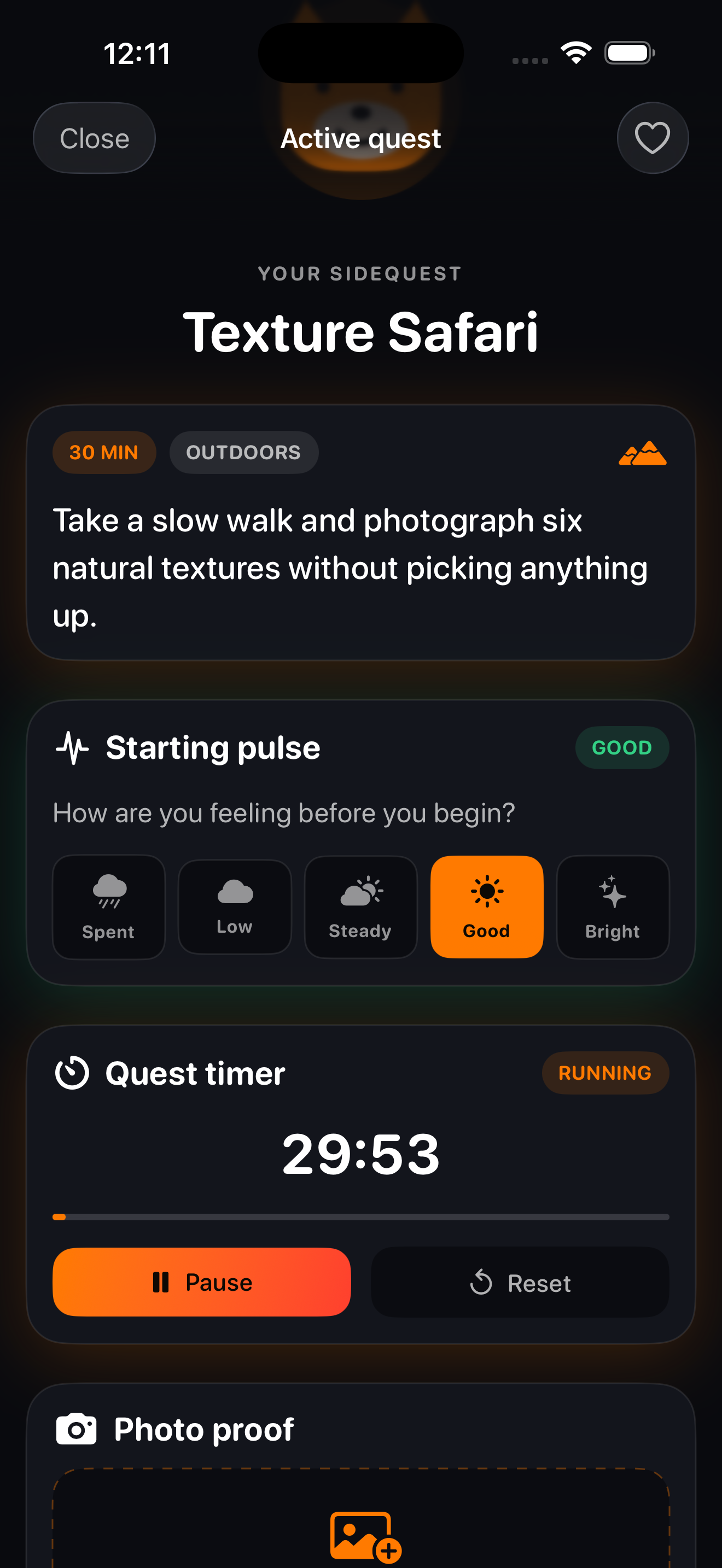 Active Quest screen showing the Texture Safari sidequest with a running timer